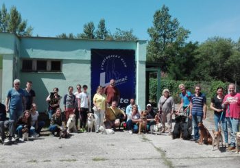 Tréning psa počas pracovného týždňa – kurz základnej poslušnosti: apríl 2018